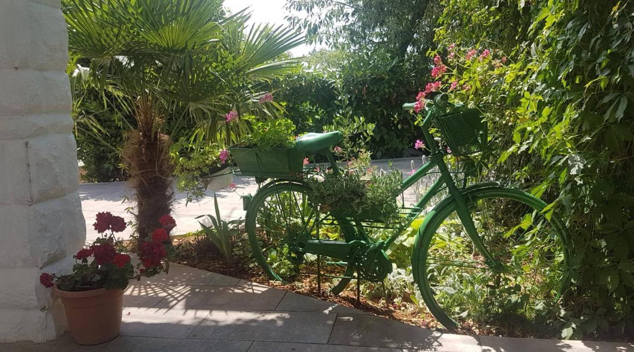 Apartments Dora Crikvenica Zewnętrze zdjęcie